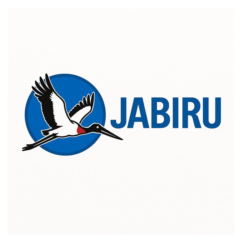 JABIRU J160 AIRCRAFT Service Repair Manual
