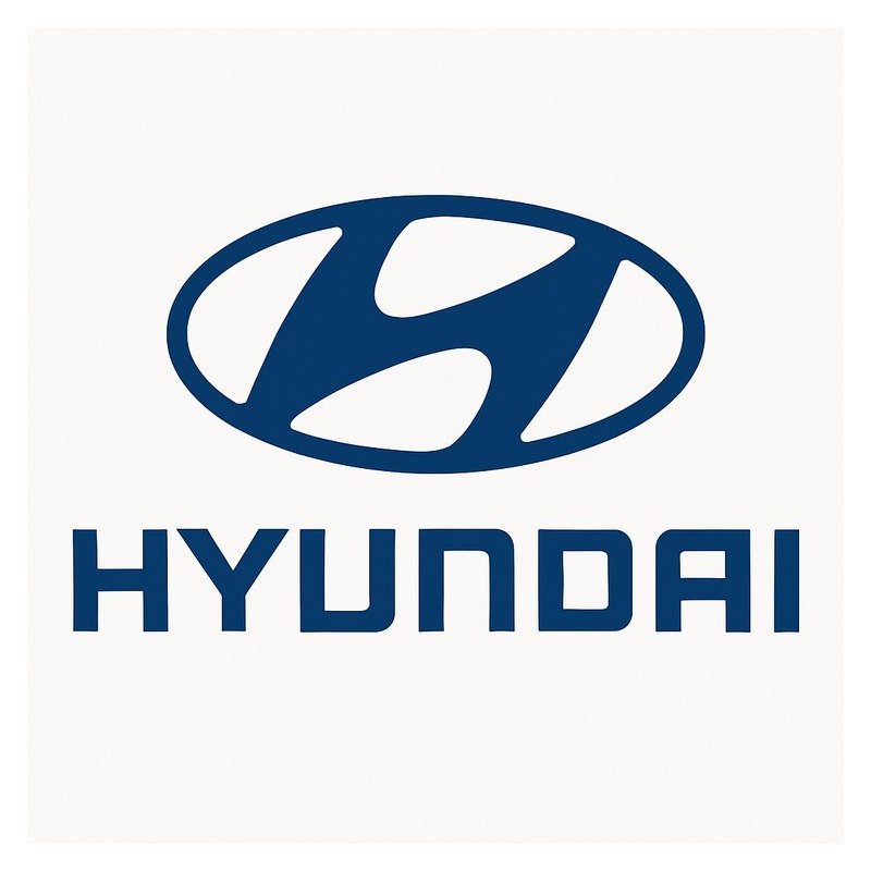 2007-2009 Hyundai HHI Emission Certified LPG BI-FUEL System 2.0l Engine 07 08 09 Service Repair Workshop Manual PDF