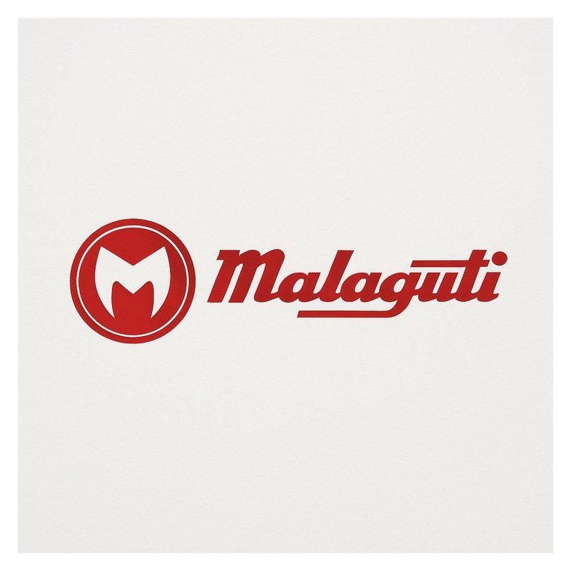 Sym Jet Malaguti F10 line Official / Service Repair Workshop Manual