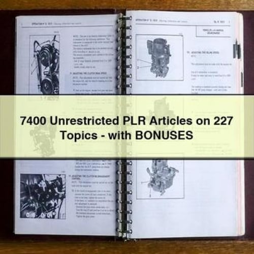 Bellanca Citabria Service Repair Manual 1973-1979