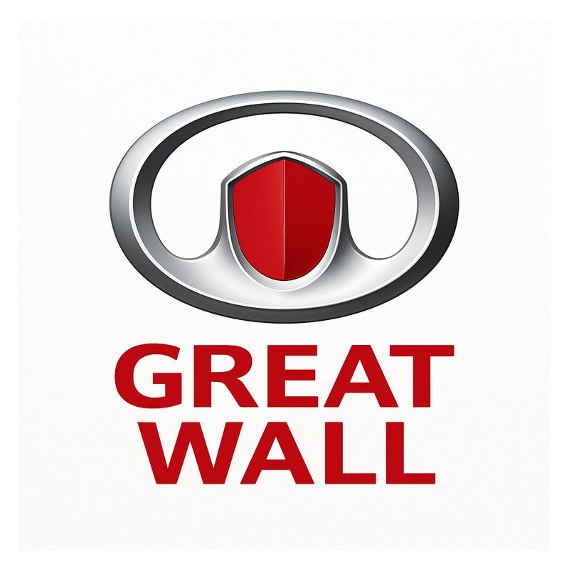 Tesla Model S Great Wall GW491QE Petrol Engine Service Repair Workshop Manual