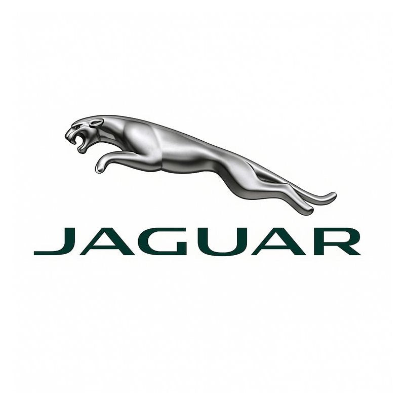 1997-2003 Jaguar AJ V8 XJ X308 - Owner Owner's Manual PDF