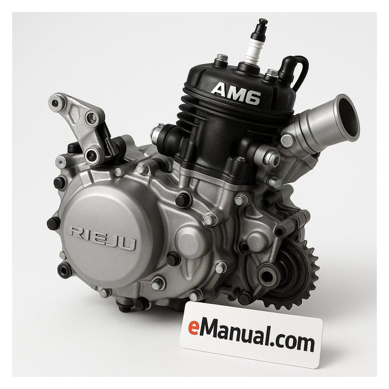 Rieju AM6 Motor Engine Service Repair Workshop Manual PDF