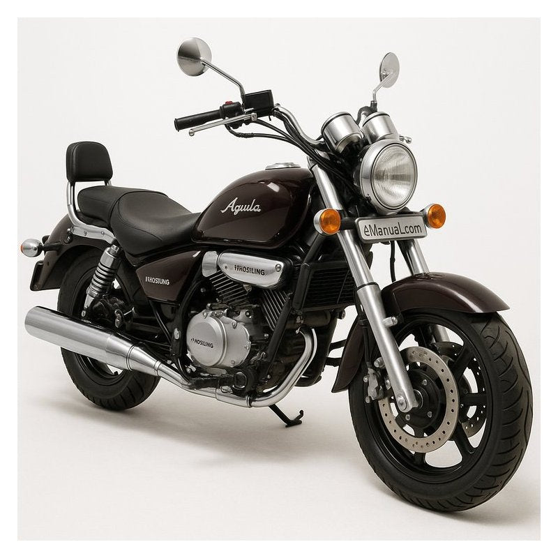 Hyosung GT250 Aquila Comet Gv250 - efi 125 Master MAN Service Repair Workshop Manual