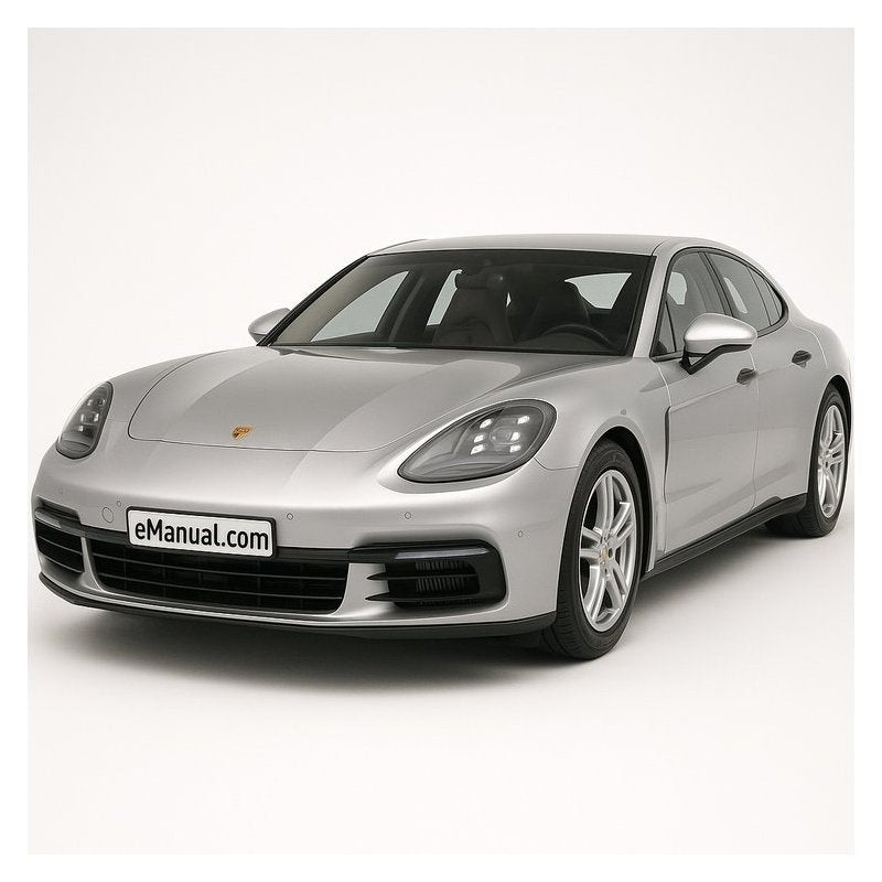 2010 Porsche Panamera Software Service Repair Workshop Manual PDF