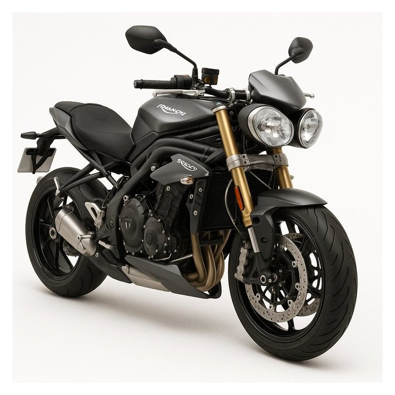 2002 Triumph Speed Triple 955 Onwards Bike Service Repair Workshop Manual
