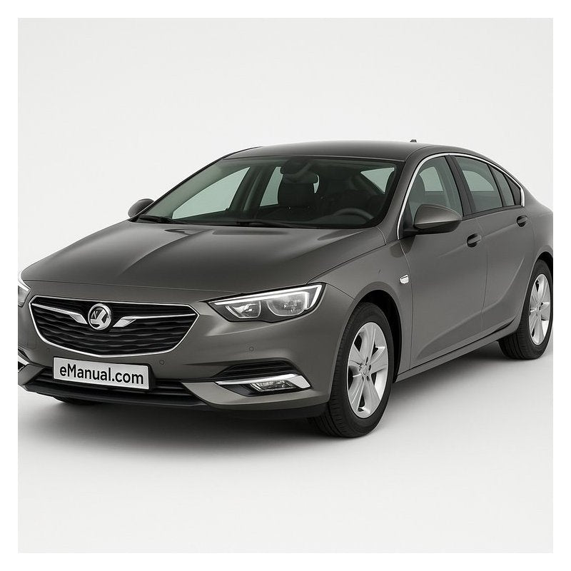 2008-2011 Vauxhall Insignia Service Repair Workshop Manual PDF