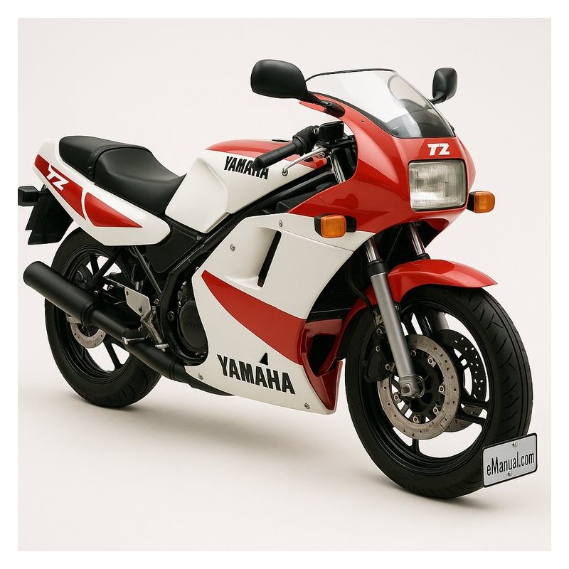 1995 Yamaha TZ Models Tz125g1 Service Repair Workshop Manual