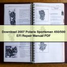 Download 2007 Polaris Sportsman 450/500 EFI Repair Manual PDF