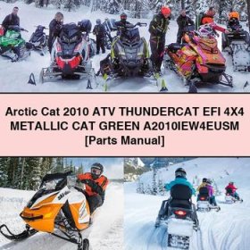 Arctic Cat 2010 ATV THUNDERCAT EFI 4X4 METALLIC CAT GREEN A2010IEW4EUSM [Parts Manual]