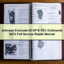 Johnson Evinrude 65 HP E-TEC Outboards 2012 Full Service Repair Manual