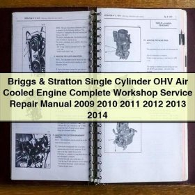 Briggs & Stratton Einzylinder OHV Luftgekühlter Motor Werkstatt-Handbuch 2009-2014