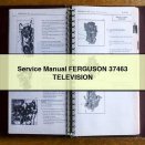 Service Repair Manual FERGUSON 37463 TELEVISION