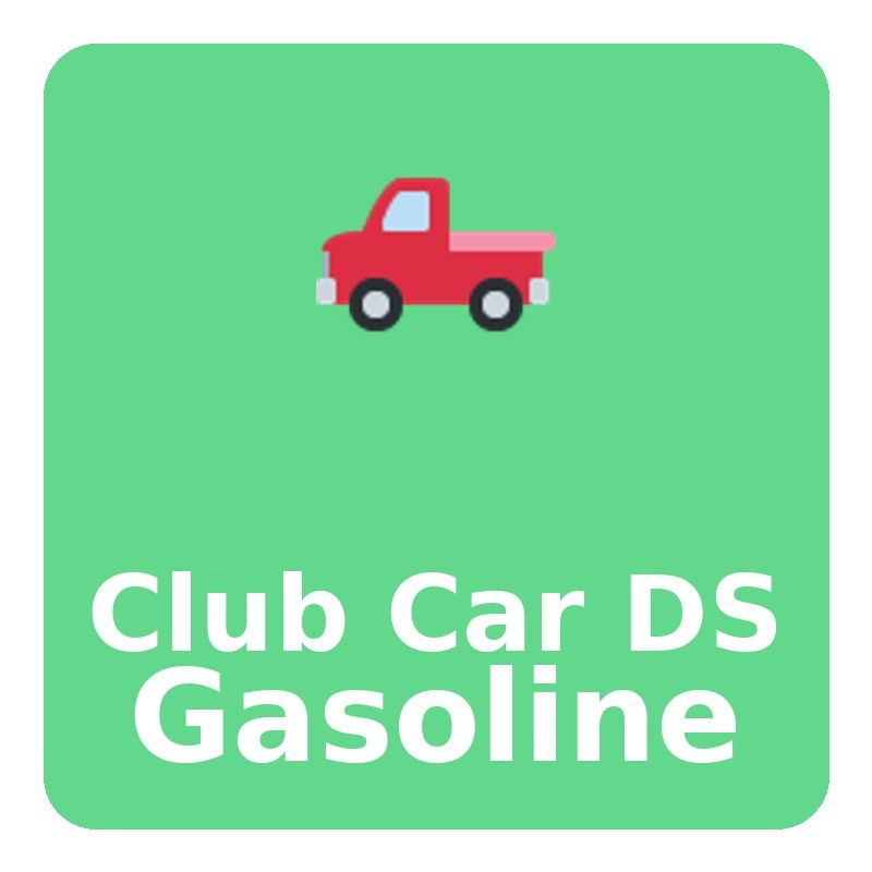 DS Gasoline