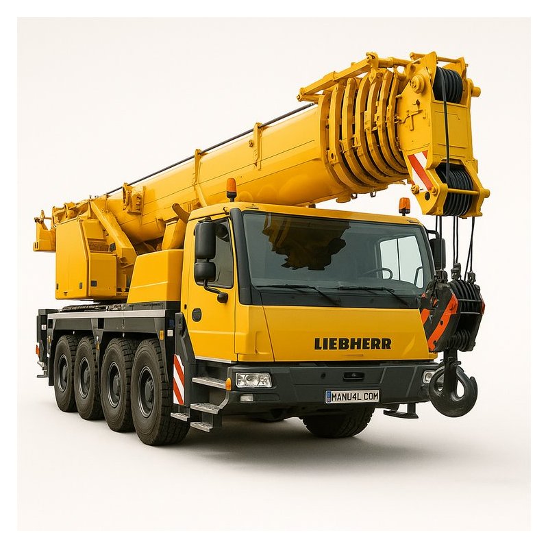 LTM Models