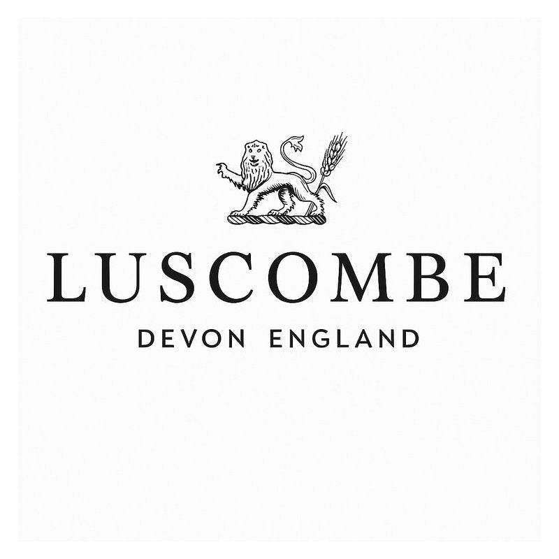 Luscombe T-8F Flight Manual PDF Download