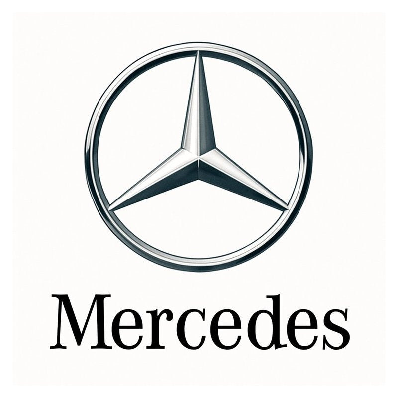 2001 Mercedes Benz E-CLASS Operators E320 E430 E55AMG Operator's Manual PDF