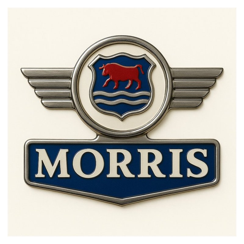 Suzuki Esteem Increase Self : Ultimate Achieve Goals Life-isabella Morris Service Repair Workshop Manual