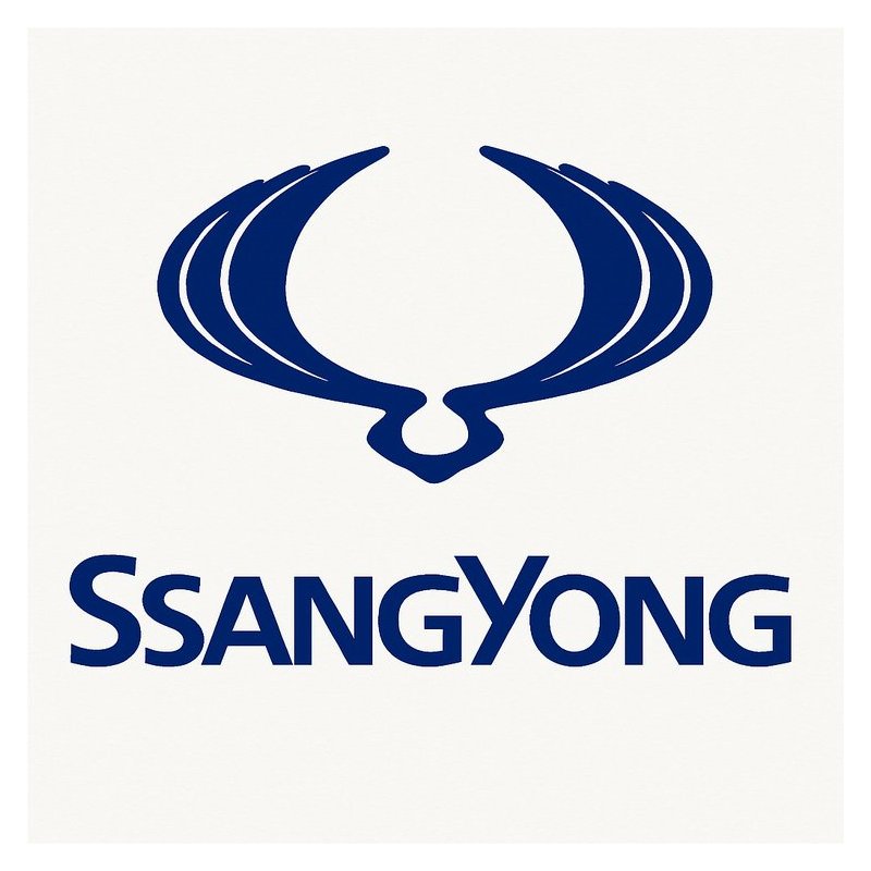 2012 Ssangyong D20TF Ssanyong Korando Engine Shop Service Repair Workshop Manual PDF