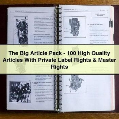 Le Big Article Pack - 100 articles de haute qualité avec droits de marque privée et droits principaux