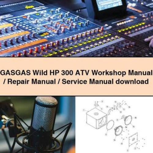 GASGAS Wild HP 300 ATV Workshop Manual / Repair Manual / Service Manual download PDF