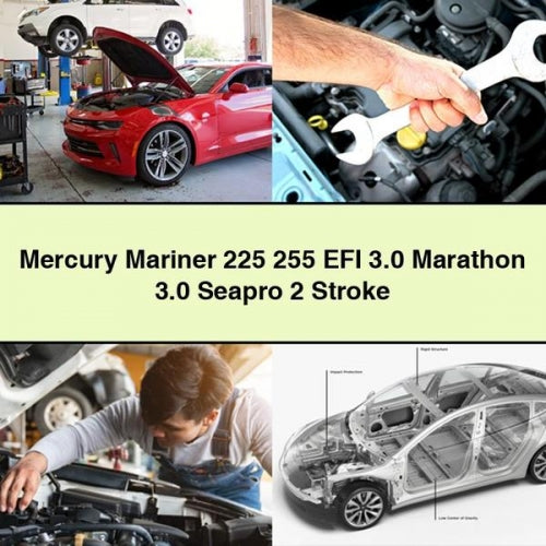 Mercury Mariner 225 255 EFI 3.0 Marathon 3.0 Seapro 2 temps