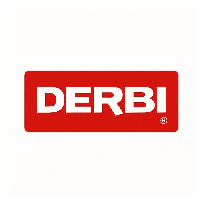 Derbi Mechanics Service Repair Workshop Manual PDF