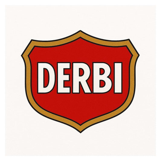 Derby 50CC 6 Speed Engine All Models Covered Service Repair Workshop Manual PDF