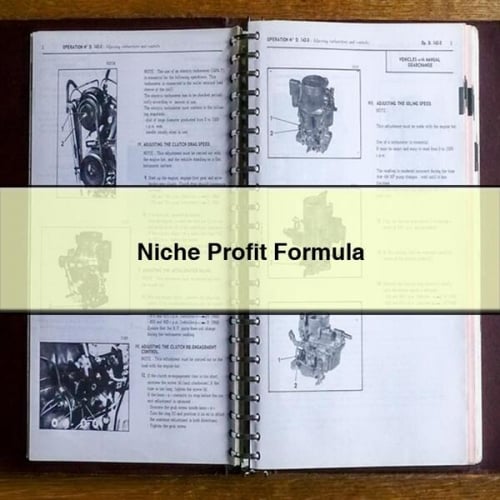 Niche Profit Formula