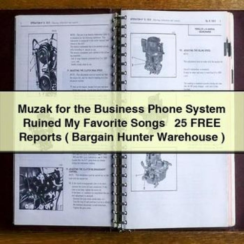 La musique d'ambiance pour le système téléphonique professionnel a ruiné mes chansons préférées + 25 rapports GRATUITS (Bargain Hunter Warehouse)