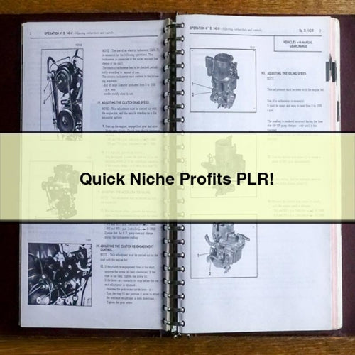 Quick Niche Profits PLR