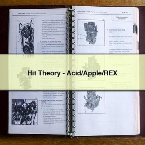 Hit Theory - Acid/Apple/REX