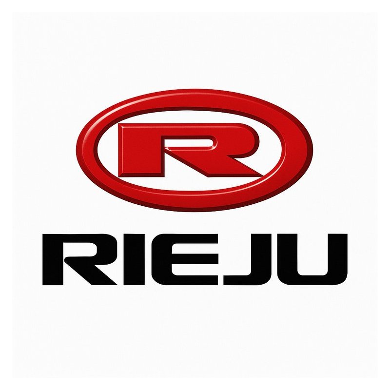 2000-2005 Rieju AM6 Aprillia RS2 Matrix Engine Service Repair Workshop Manual PDF