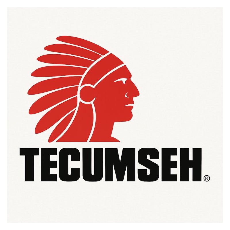 Tecumseh Tvxl840 TVS 2 Cycle Engine Service Repair Workshop Manual PDF