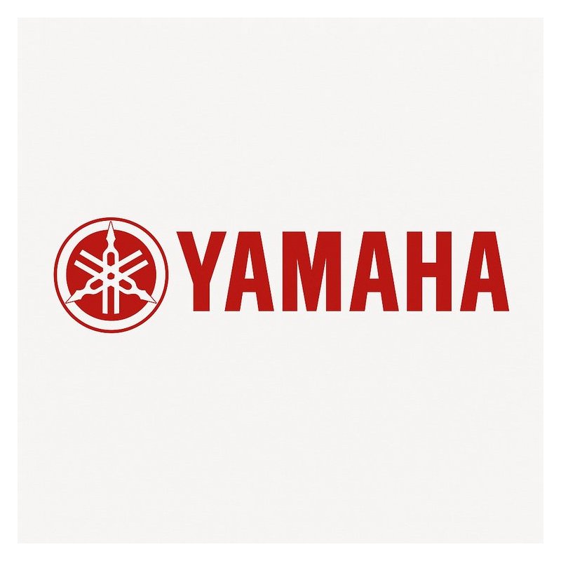 1983-1989 Yamaha G1 Golf Cart - Owners Owner's Manual PDF