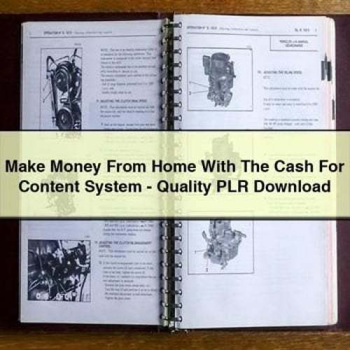 Make Money From Home With The Cash For Content System - Quality PLR Download