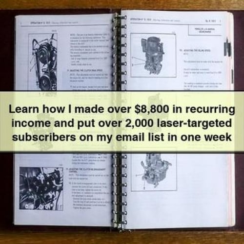 Learn how I made over $8 800 in recurring income and put over 2 000 laser-targeted subscribers on my email list in one week