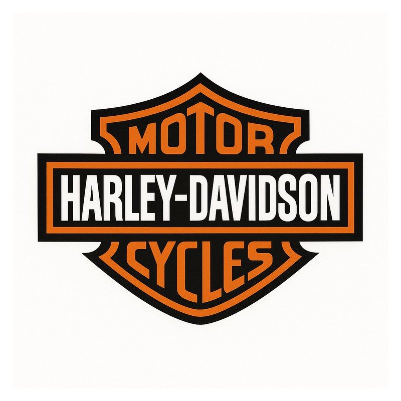 1959-1969 Harley Davidson Electra Glide Service Repair Workshop Manual