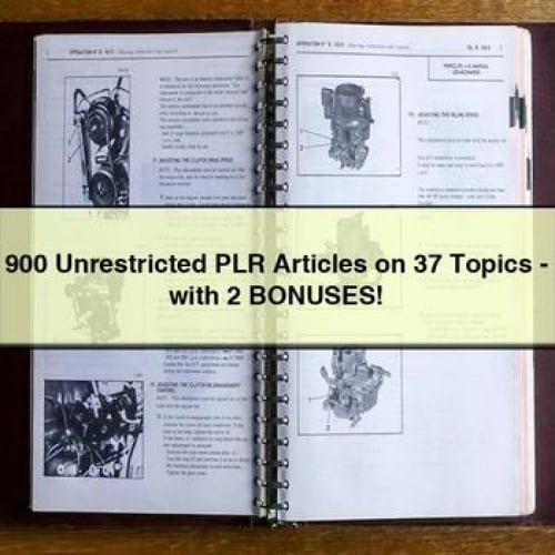 900 Unrestricted PLR Articles on 37 Topics - with 2 BONUSES