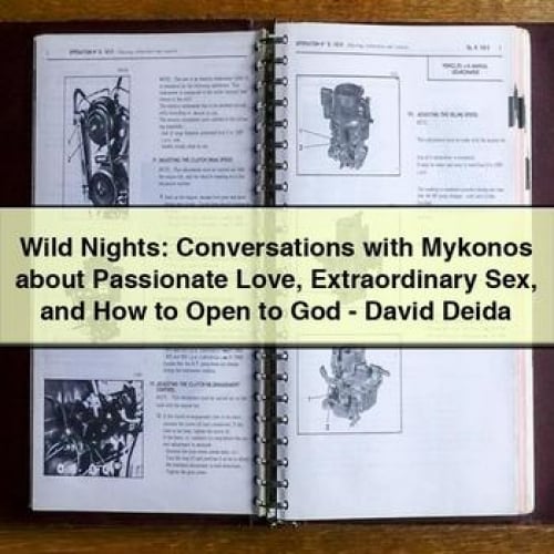 Wild Nights: Conversations with Mykonos about Passionate Love Extraordinary Sex and How to Open to God - David Deida