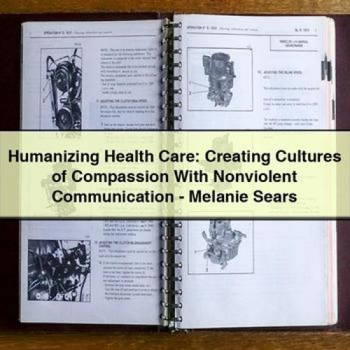 Humanizing Health Care: Creating Cultures of Compassion With Nonviolent Communication - Melanie Sears