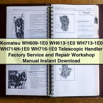 Manual de Servicio y Piezas para Montacargas Hyster E30HSD, E35HSD, E40HSD (A219)