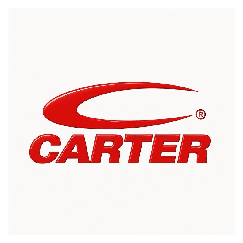 CCSP Certified Cloud Security Professional Practice Exams-Daniel Carter