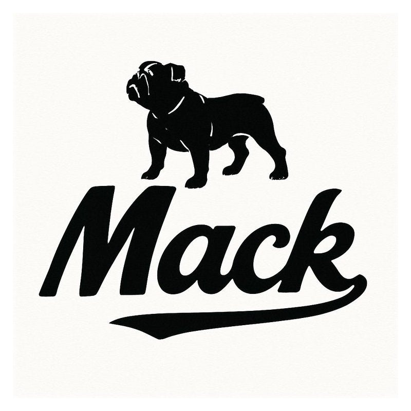 2002 Mack M-E7 Diesel Engine Service Repair Workshop Manual PDF