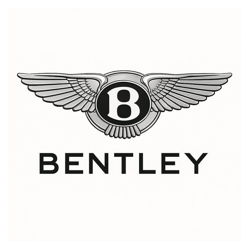 Bentley MAN His Time-phyllis Service Repair Workshop Manual PDF