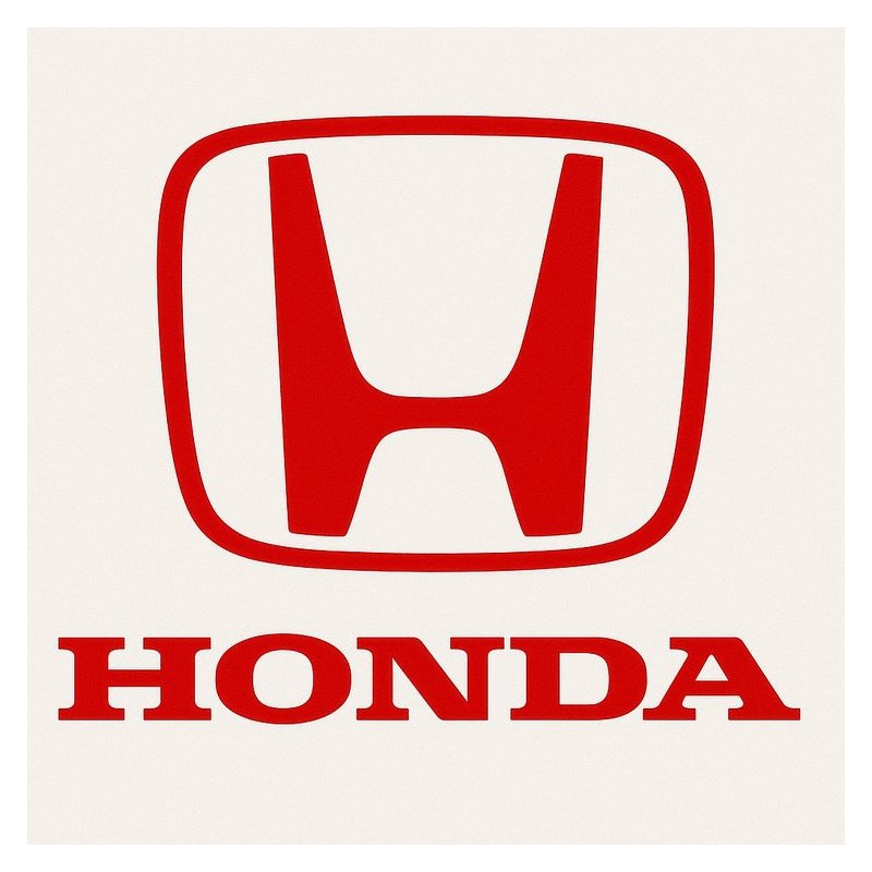Manual de Reparación y Servicio Honda VT600C / VT600CD (1997-2001)